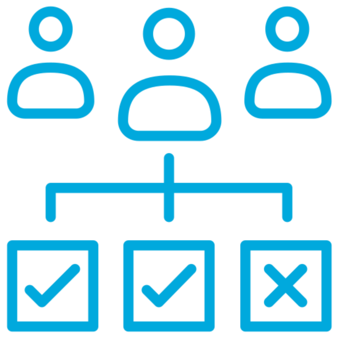 Business Structure Selection